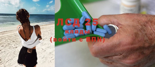 дурь Бородино