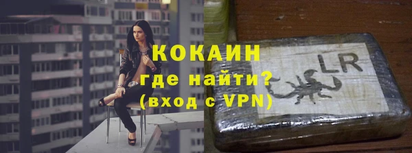 дурь Бородино