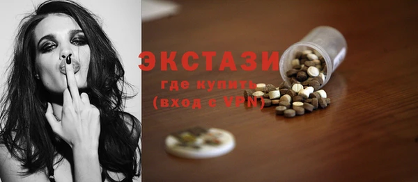 ECSTASY Богданович