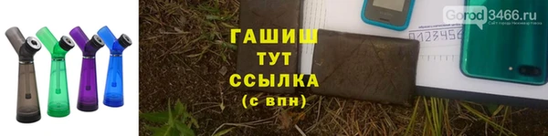 дурь Бородино