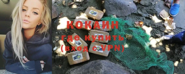 дурь Бородино