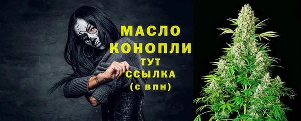 дурь Бородино
