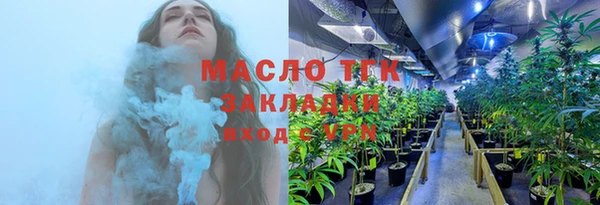 дурь Бородино